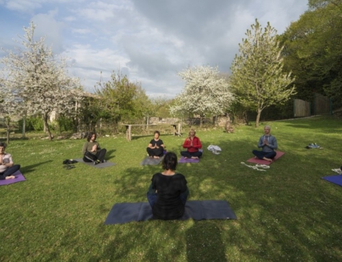 Il moto del cammino e la quiete dello yoga