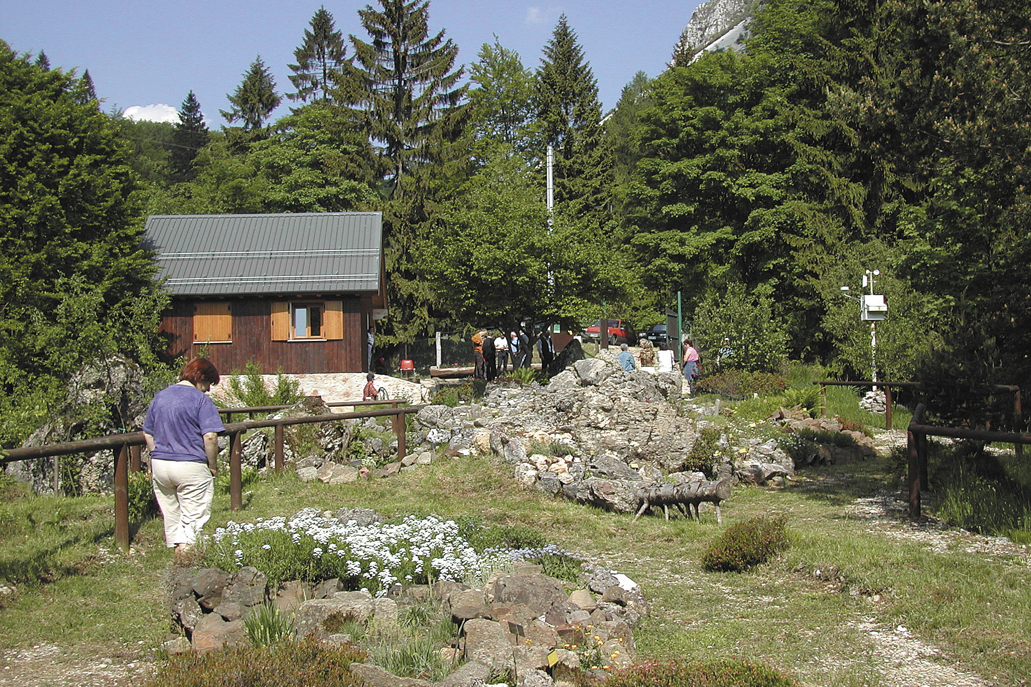 Scopri il Giardino Botanico Alpino Pasubio